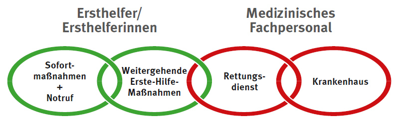 Ersthelfer/innen: Sofortmaßnahmen + Notruf, dann weitergehende Erste-Hilfe-Maßnahmen. Medizinisches Fachpersonal: Rettungsdienst, dann Krankenhaus