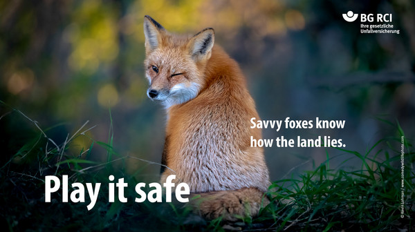 Play it safe. Savvy foxes know how the land lies.