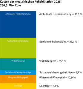 Grafik: Kosten der medizinischen Rehabilitation