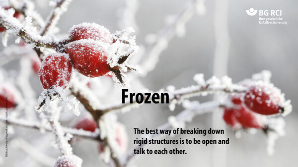 Frozen. The best way of breaking down rigid structures is to be open and  talk to each other.