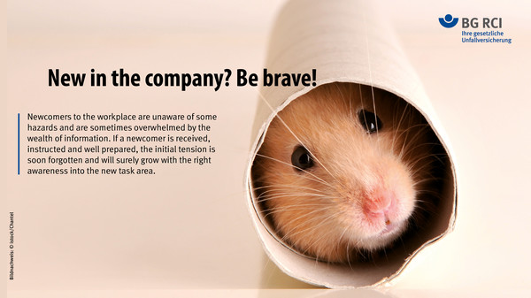 New in the company? Be brave! Newcomers to the workplace are unaware of some hazards and are sometimes overwhelmed by the wealth of information. If a newcomer is received, instructed and well prepared, the initial tension is soon forgotten and will surely grow with the right awareness into the new task area.