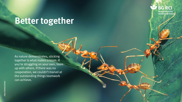 Better together. As nature demonstrates, sticking together is what makes a team. If you’re struggling on your own, team up with others. If there was no cooperation, we couldn’t marvel at the outstanding things teamwork can achieve.