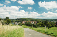 Blick auf den Ort Laubach mit Feldweg und Wiesen