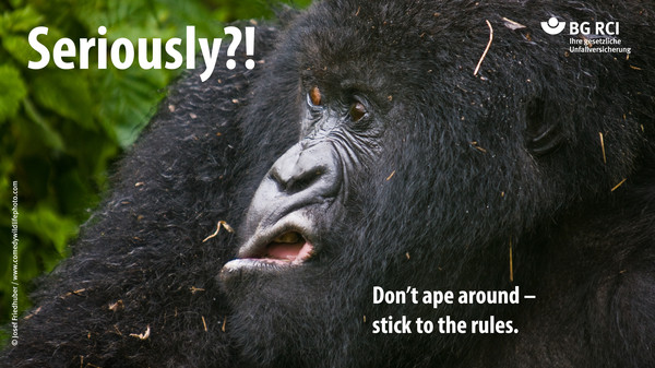Seriously?!  Don’t ape around –  stick to the rules.